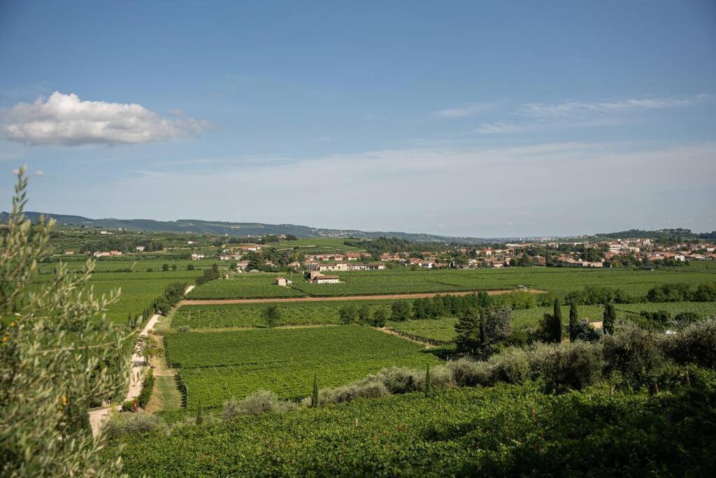 Monolocale Moderno Valpolicella Verona - Vayu San Pietro in Cariano Eksteriør billede